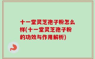 十一堂灵芝孢子粉怎么样(十一堂灵芝孢子粉的功效与作用解析)