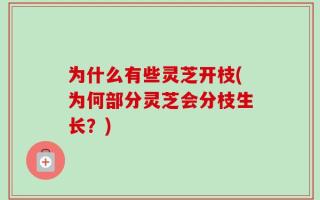 为什么有些灵芝开枝(为何部分灵芝会分枝生长？)