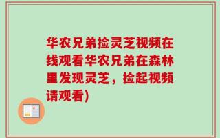 华农兄弟捡灵芝视频在线观看华农兄弟在森林里发现灵芝，捡起视频请观看)