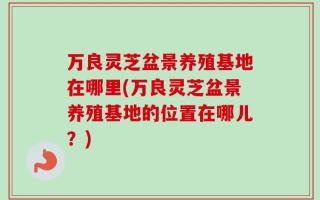 万良灵芝盆景养殖基地在哪里(万良灵芝盆景养殖基地的位置在哪儿？)