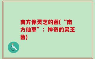 南方像灵芝的菌(“南方仙草”：神奇的灵芝菌)