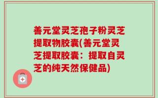 善元堂灵芝孢子粉灵芝提取物胶囊(善元堂灵芝提取胶囊：提取自灵芝的纯天然保健品)