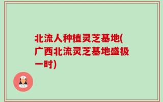北流人种植灵芝基地(广西北流灵芝基地盛极一时)