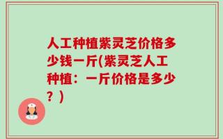 人工种植紫灵芝价格多少钱一斤(紫灵芝人工种植：一斤价格是多少？)