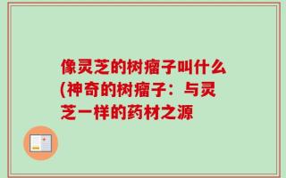 像灵芝的树瘤子叫什么(神奇的树瘤子：与灵芝一样的药材之源