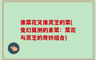 像菜花又像灵芝的菜(变幻莫测的素菜：菜花与灵芝的奇妙结合)