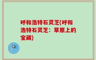 呼和浩特石灵芝(呼和浩特石灵芝：草原上的宝藏)