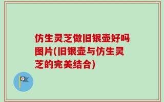 仿生灵芝做旧银壶好吗图片(旧银壶与仿生灵芝的完美结合)
