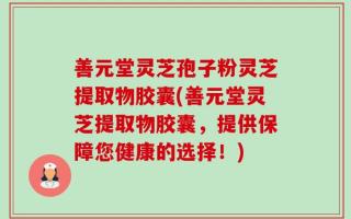 善元堂灵芝孢子粉灵芝提取物胶囊(善元堂灵芝提取物胶囊，提供保障您健康的选择！)