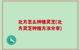 北方怎么种植灵芝(北方灵芝种植方法分享)