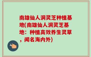 南雄仙人洞灵芝种植基地(南雄仙人洞灵芝基地：种植高效养生灵草，闻名海内外)