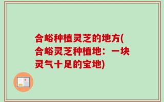 合峪种植灵芝的地方(合峪灵芝种植地：一块灵气十足的宝地)