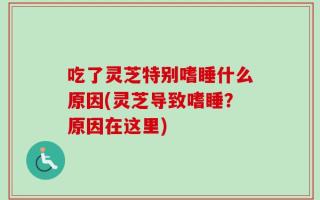吃了灵芝特别嗜睡什么原因(灵芝导致嗜睡？原因在这里)