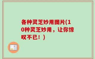 各种灵芝妙用图片(10种灵芝妙用，让你惊叹不已！)