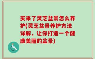 买来了灵芝盆景怎么养护(灵芝盆景养护方法详解，让你打造一个健康美丽的盆景)