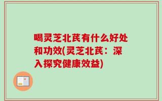 喝灵芝北芪有什么好处和功效(灵芝北芪：深入探究健康效益)