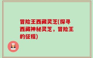 冒险王西藏灵芝(探寻西藏神秘灵芝，冒险王的征程)