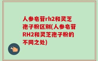 人参皂苷rh2和灵芝孢子粉区别(人参皂苷RH2和灵芝孢子粉的不同之处)