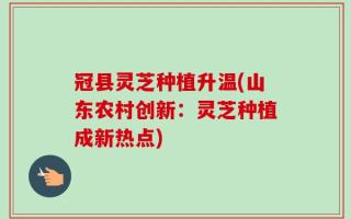 冠县灵芝种植升温(山东农村创新：灵芝种植成新热点)