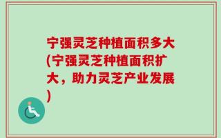 宁强灵芝种植面积多大(宁强灵芝种植面积扩大，助力灵芝产业发展)