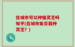 在城市可以种植灵芝吗知乎(在城市能否栽种灵芝？)