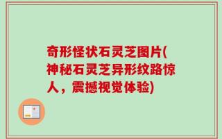 奇形怪状石灵芝图片(神秘石灵芝异形纹路惊人，震撼视觉体验)