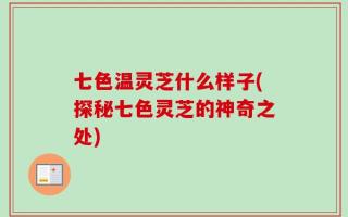 七色温灵芝什么样子(探秘七色灵芝的神奇之处)