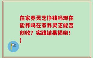 在家养灵芝挣钱吗现在能养吗在家养灵芝能否创收？实践结果揭晓！)