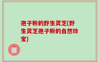 孢子粉的野生灵芝(野生灵芝孢子粉的自然珍宝)