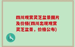 四川观赏灵芝盆景图片及价格(四川出现观赏灵芝盆景，价格公布)