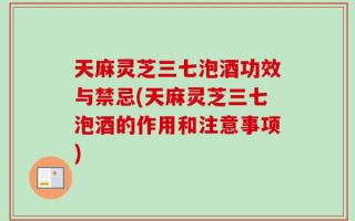 天麻灵芝三七泡酒功效与禁忌(天麻灵芝三七泡酒的作用和注意事项)