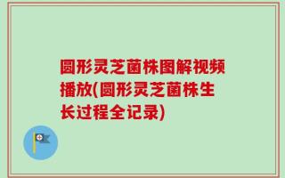 圆形灵芝菌株图解视频播放(圆形灵芝菌株生长过程全记录)