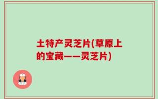 土特产灵芝片(草原上的宝藏——灵芝片)
