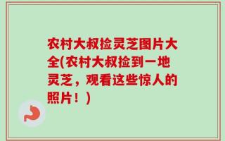 农村大叔捡灵芝图片大全(农村大叔捡到一地灵芝，观看这些惊人的照片！)
