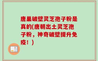 唐巢破壁灵芝孢子粉是真的(唐朝出土灵芝孢子粉，神奇破壁提升免疫！)