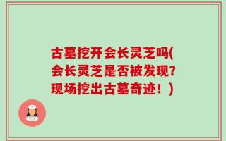 古墓挖开会长灵芝吗(会长灵芝是否被发现？现场挖出古墓奇迹！)