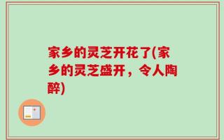 家乡的灵芝开花了(家乡的灵芝盛开，令人陶醉)