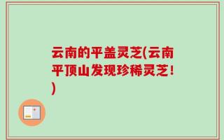 云南的平盖灵芝(云南平顶山发现珍稀灵芝！)