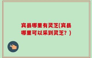 宾县哪里有灵芝(宾县哪里可以采到灵芝？)