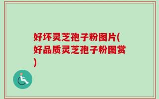 好坏灵芝孢子粉图片(好品质灵芝孢子粉图赏)