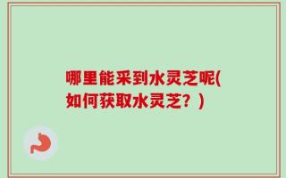 哪里能采到水灵芝呢(如何获取水灵芝？)
