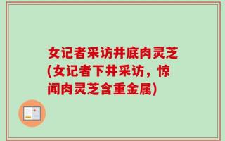 女记者采访井底肉灵芝(女记者下井采访，惊闻肉灵芝含重金属)