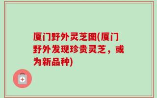 厦门野外灵芝图(厦门野外发现珍贵灵芝，或为新品种)