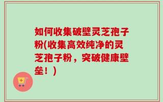 如何收集破壁灵芝孢子粉(收集高效纯净的灵芝孢子粉，突破健康壁垒！)