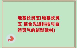 地基长灵芝(地基长灵芝 整合先进科技与自然灵气的新型建材)