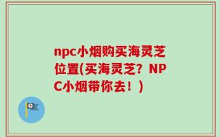 npc小烟购买海灵芝位置(买海灵芝？NPC小烟带你去！)