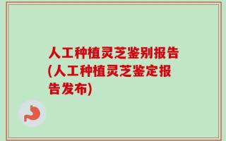 人工种植灵芝鉴别报告(人工种植灵芝鉴定报告发布)