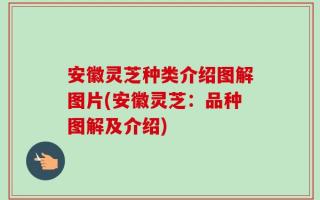 安徽灵芝种类介绍图解图片(安徽灵芝：品种图解及介绍)