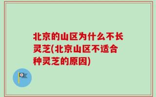 北京的山区为什么不长灵芝(北京山区不适合种灵芝的原因)