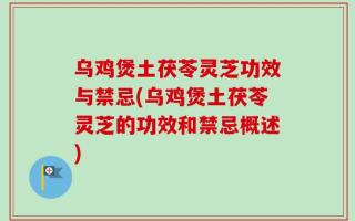 乌鸡煲土茯苓灵芝功效与禁忌(乌鸡煲土茯苓灵芝的功效和禁忌概述)